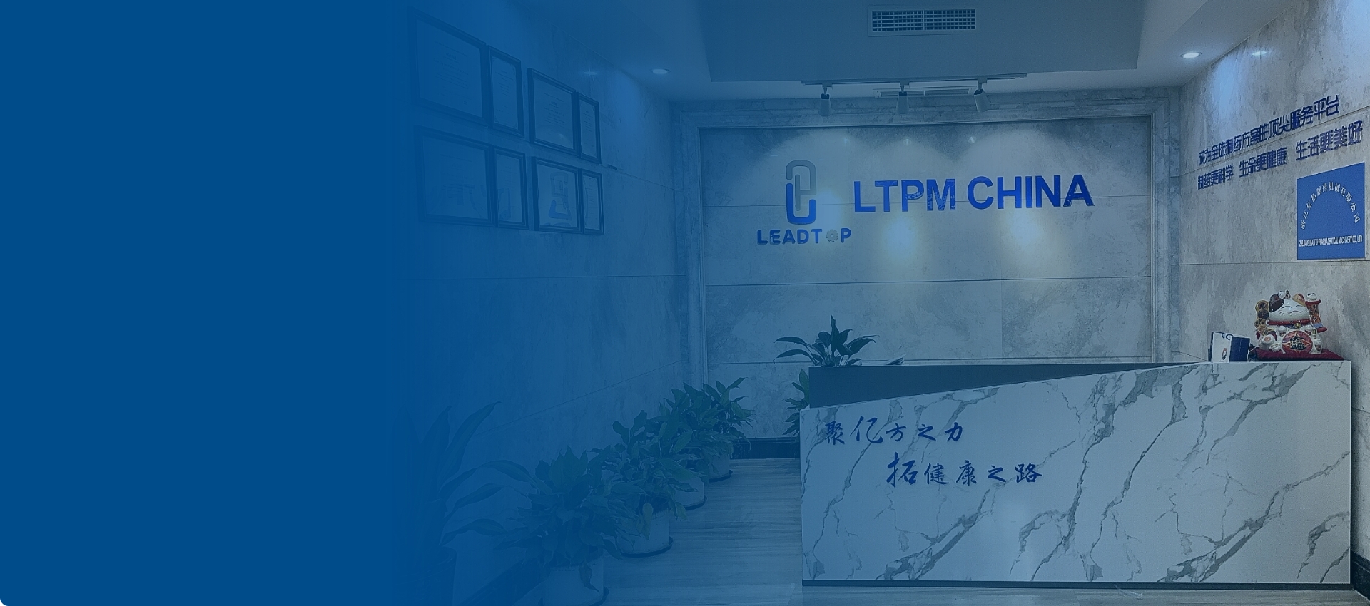 Company Introduction