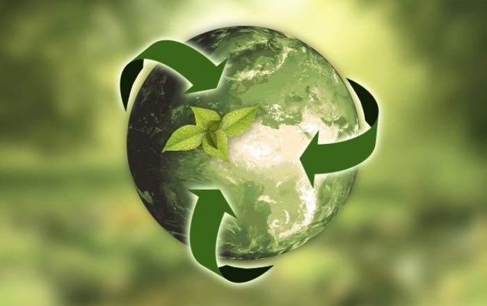 Sustainable Supply Chain