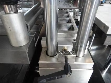 Mould insert position device