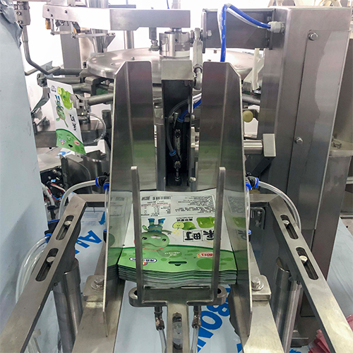 RotaTop-250 Bag Packaging Machine